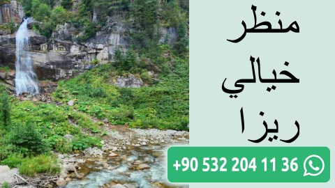 منظر خيالي ريزا